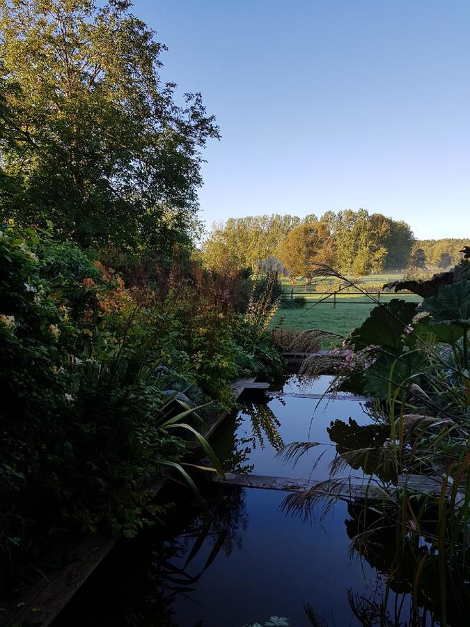 Les Buis De Boscherville Gite Hénouville Eksteriør bilde